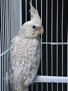 Baby Health Products