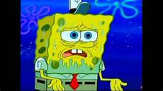 Bath Sponge