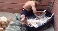 Bath Sponge
