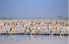 Kids Intelligence Toys