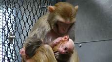 Newborn Baby Cosmetics