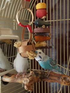 Parrot Toys